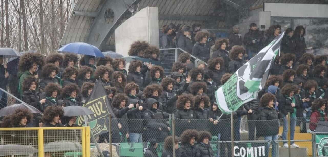 WhatsApp Image 2026-02-19 at 12.39.09